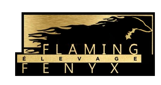 Flaming Fenyx